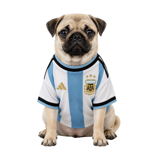 Argentina Doggy