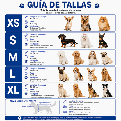 Brasil Doggy