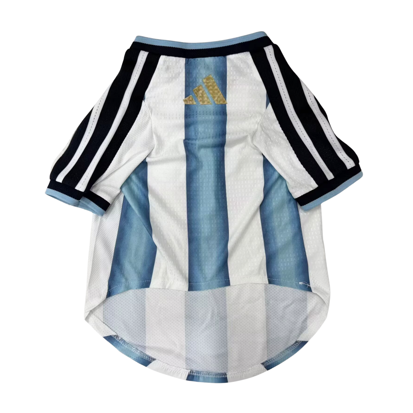 Argentina Doggy