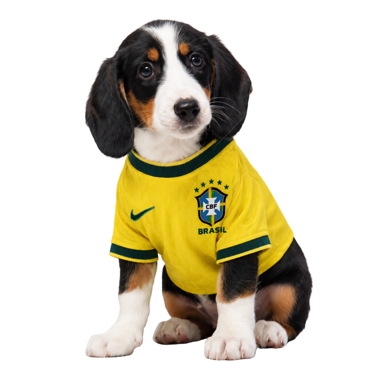 Brasil Doggy