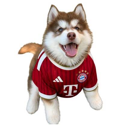 Bayern Doggy